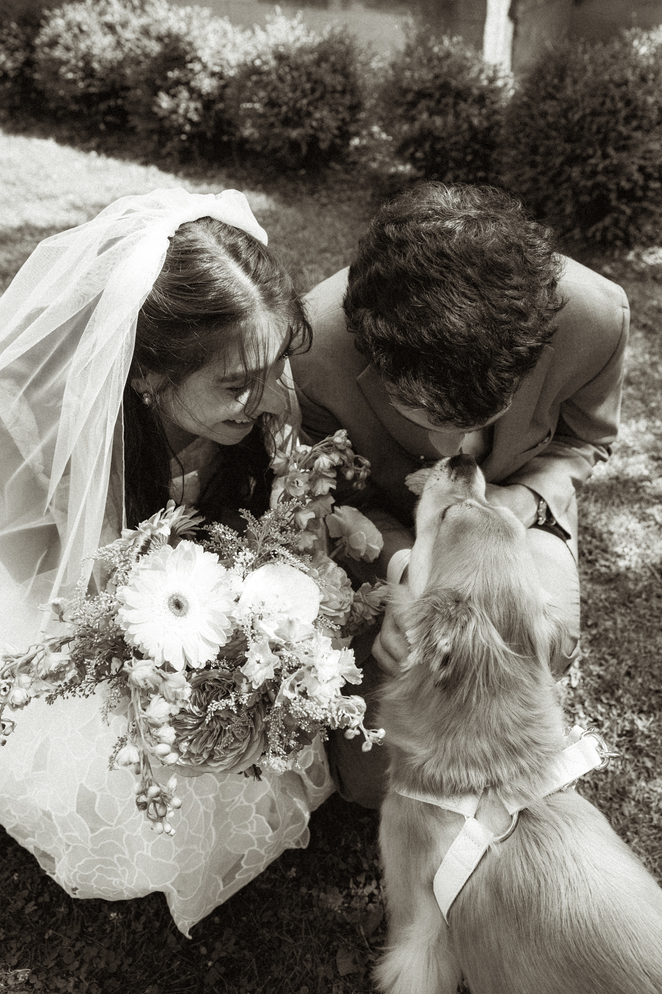 Summer Wedding at Hartwood Acres