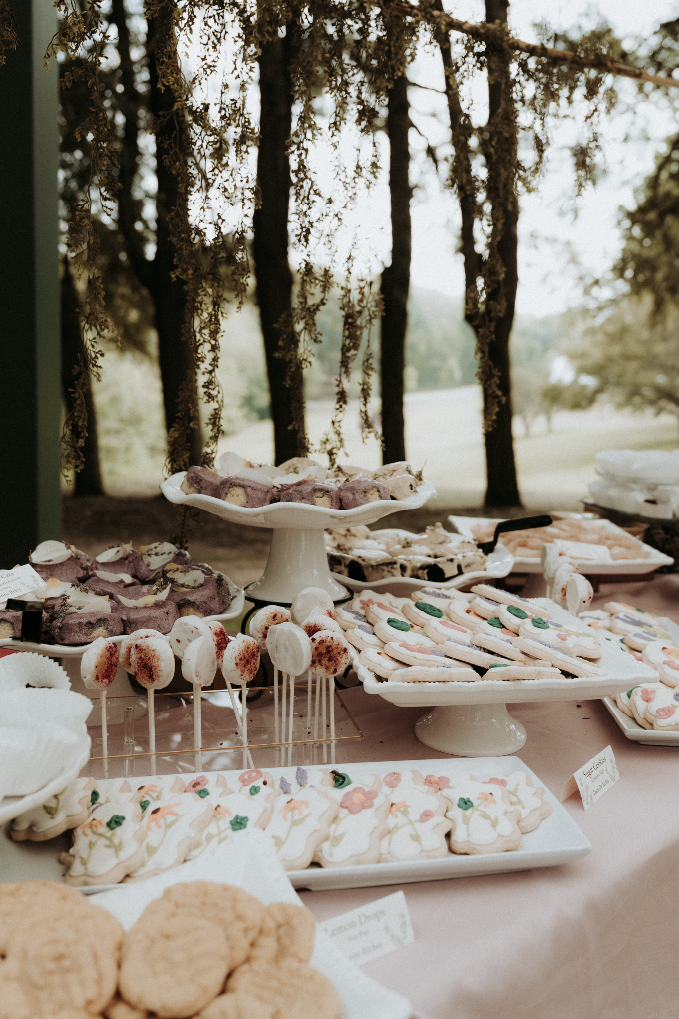 Summer Wedding at Hartwood Acres